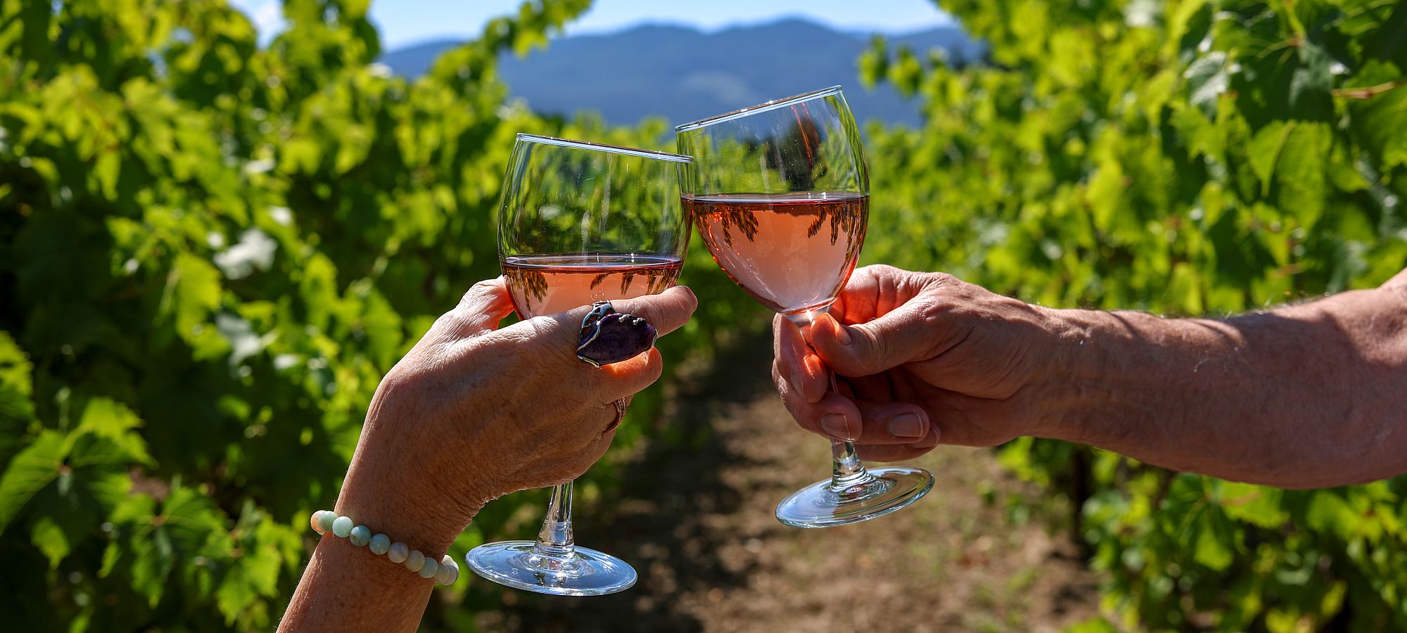 An Unparalleled Paradise