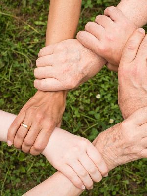 Non-Profit Organizations 
