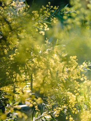 Photography & Video